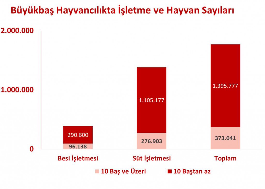 buyukbas_hayvancilik_sayilari