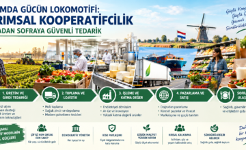 TARIMDA GÜCÜN LOKOMOTİFİ: TARIMSAL KOOPERATİFCİLİK, TARLADAN SOFRAYA GÜVENLİ TEDARİK